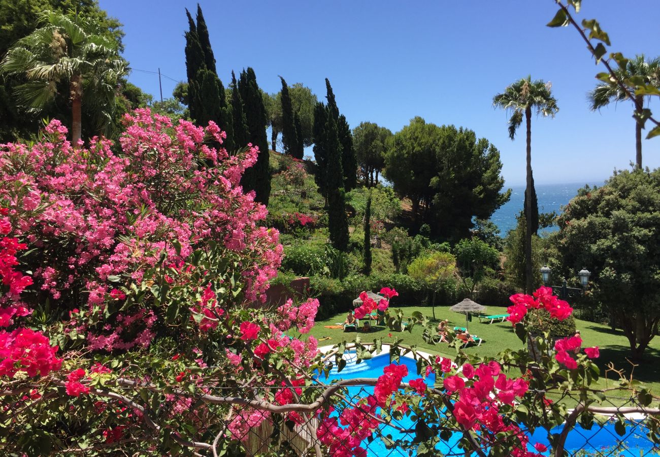 Appartement in Nerja - Vistas del Mar by Casasol