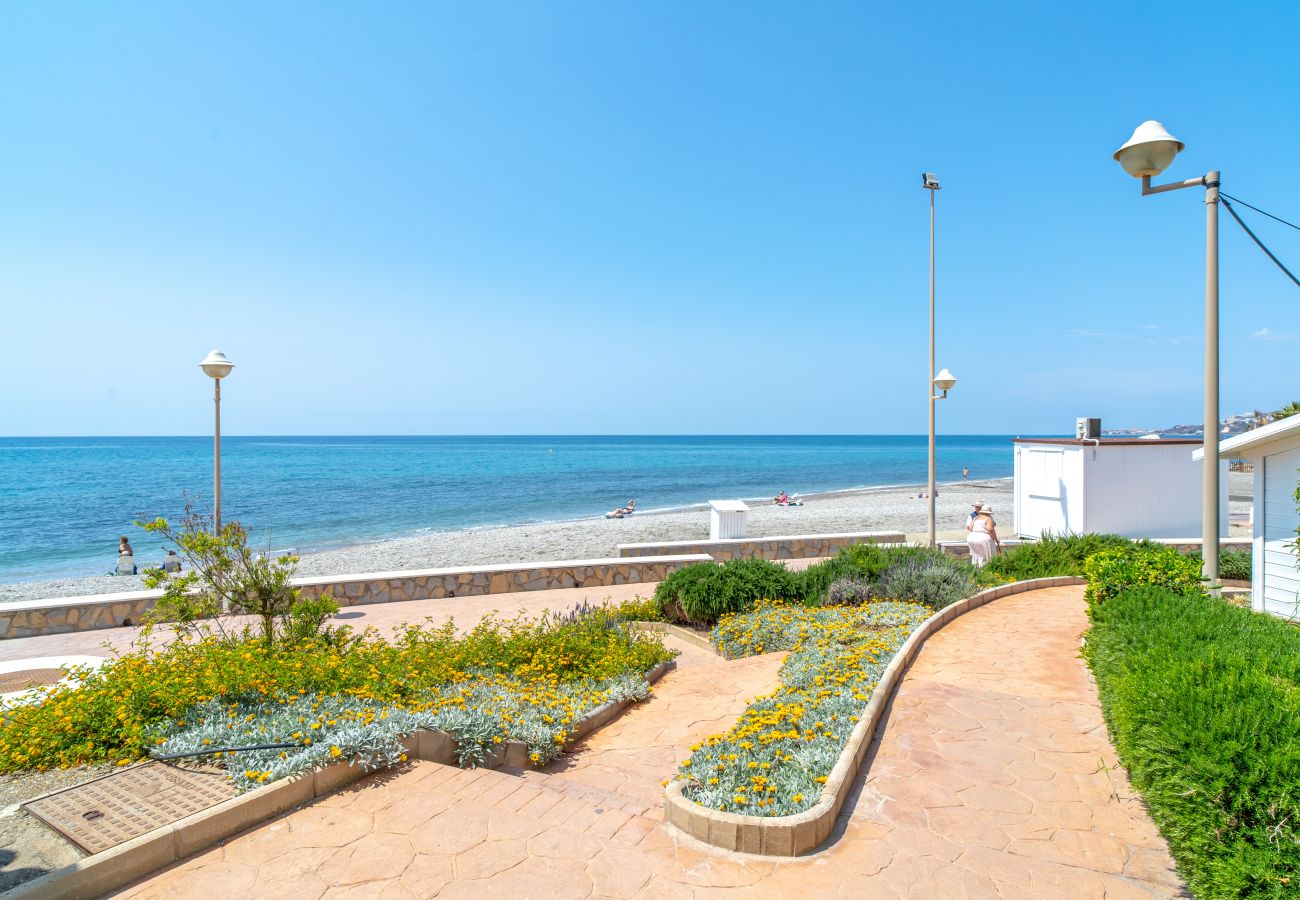 Appartement in Nerja - Stella Maris Beachfront 3A by Casasol