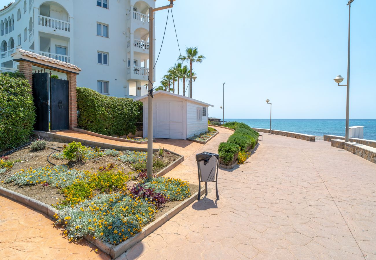 Appartement in Nerja - Stella Maris Beachfront 3A by Casasol