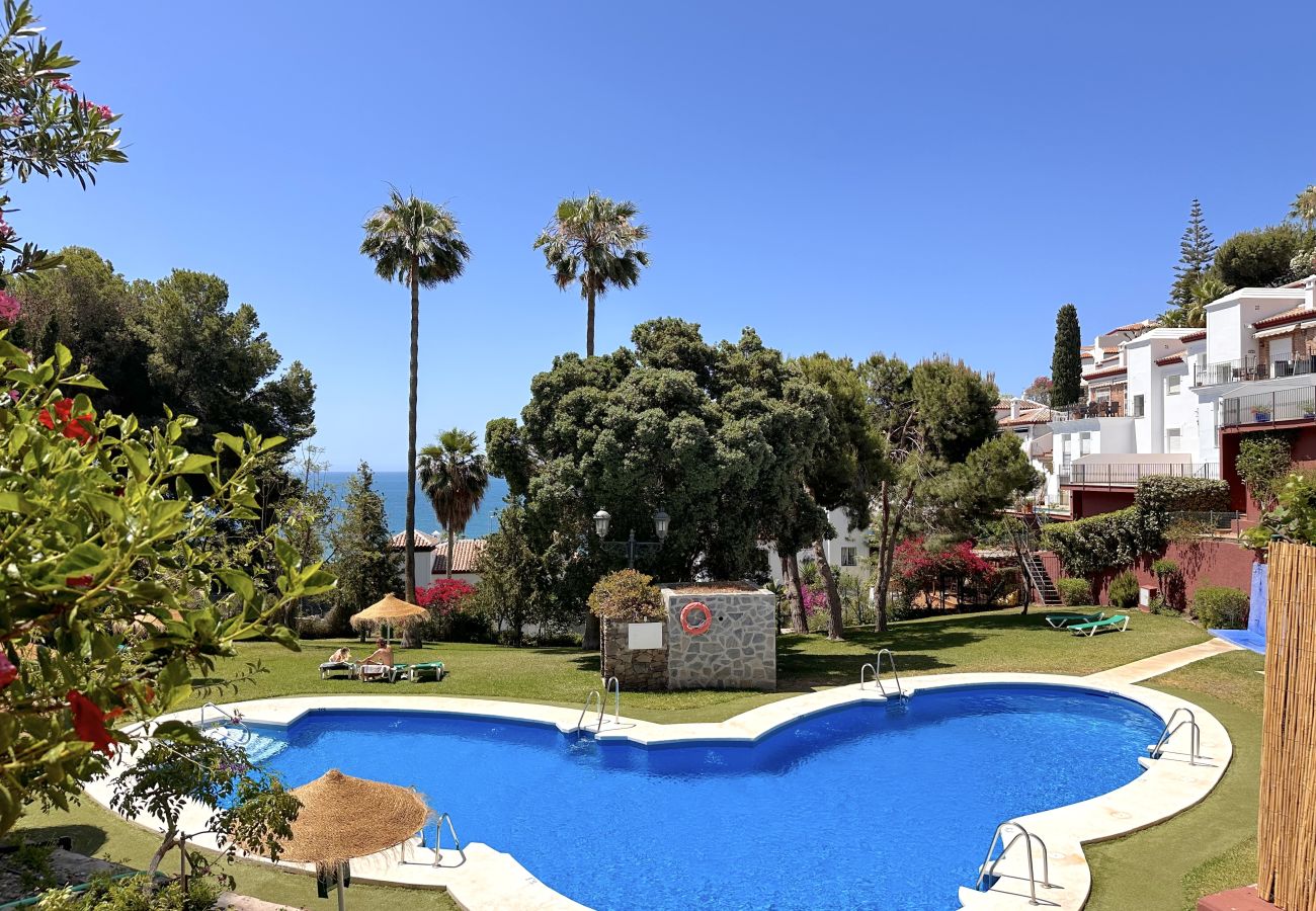 Appartement in Nerja - VistaMar Panorama 42 by Casasol